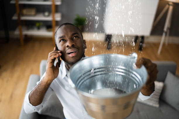Best Carpet water damage restoration  in Camden, TN