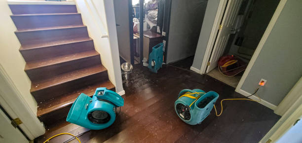 Best Water damage restoration near me  in Camden, TN