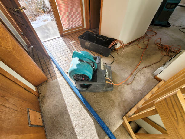 Best Flood restoration services  in Camden, TN