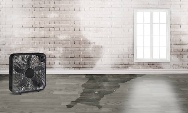 Best 24-hour water damage restoration  in Camden, TN
