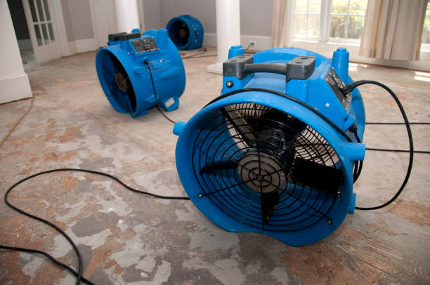 Local water damage restoration in Camden, TN
